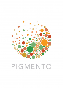 logo Pigmento