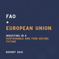 FAO + European Uninion
